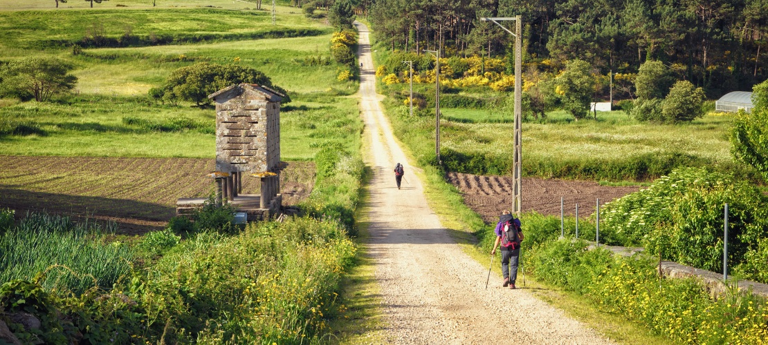 Pilgrims on the Camino de Santiago to Fisterra and Muxía Pilgrims on the Camino de Santiago to Fisterra and Muxía