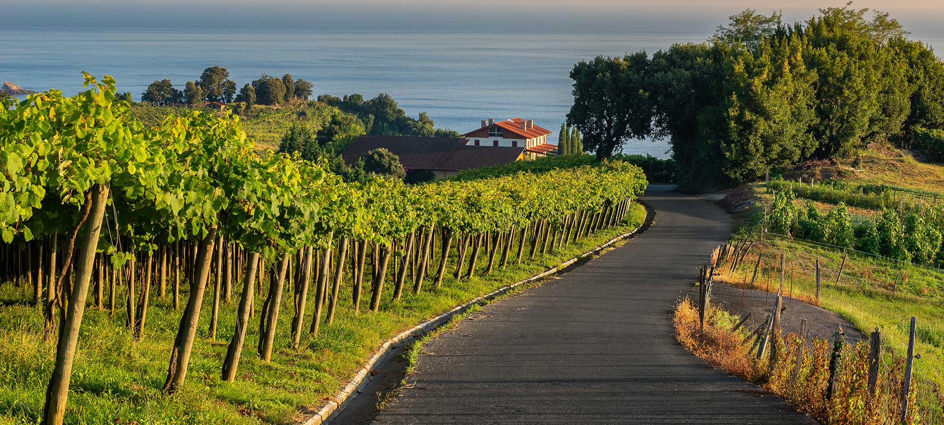 Txakoli Route, Getaria Txakoli Route, Getaria
