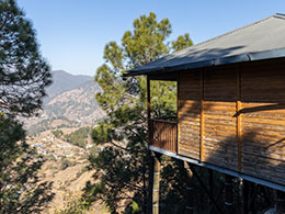 Relax on the treetops Relax on the treetops