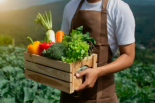 Farmer with box of ecological products Farmer with box of ecological products
