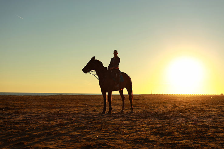 Equestrian touring Equestrian touring
