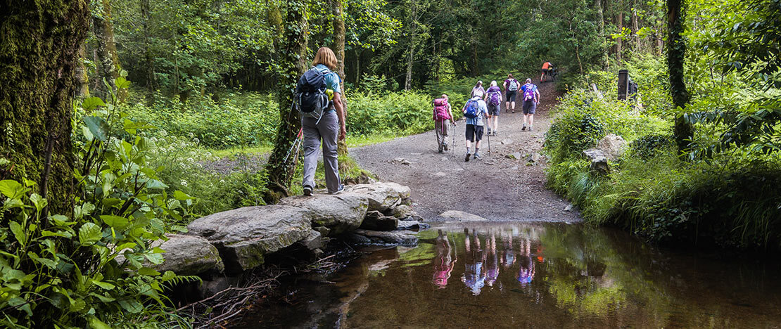 Group of pilgrims passing through a forest Group of pilgrims passing through a forest