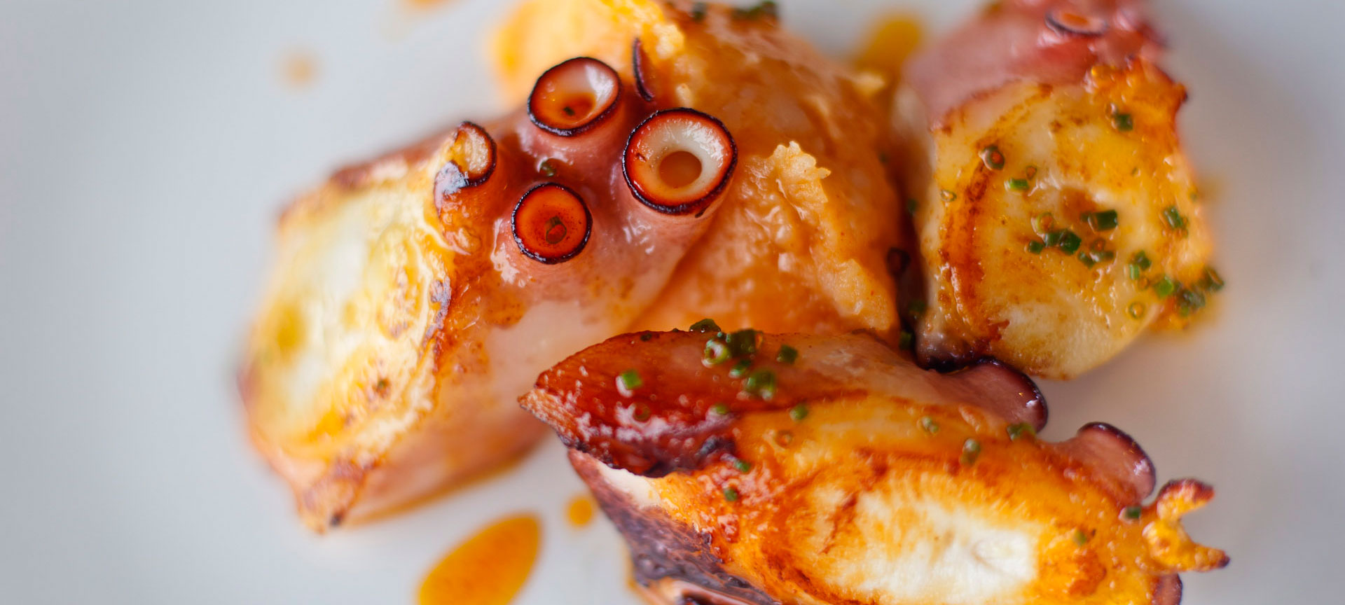 Octopus dish Octopus dish