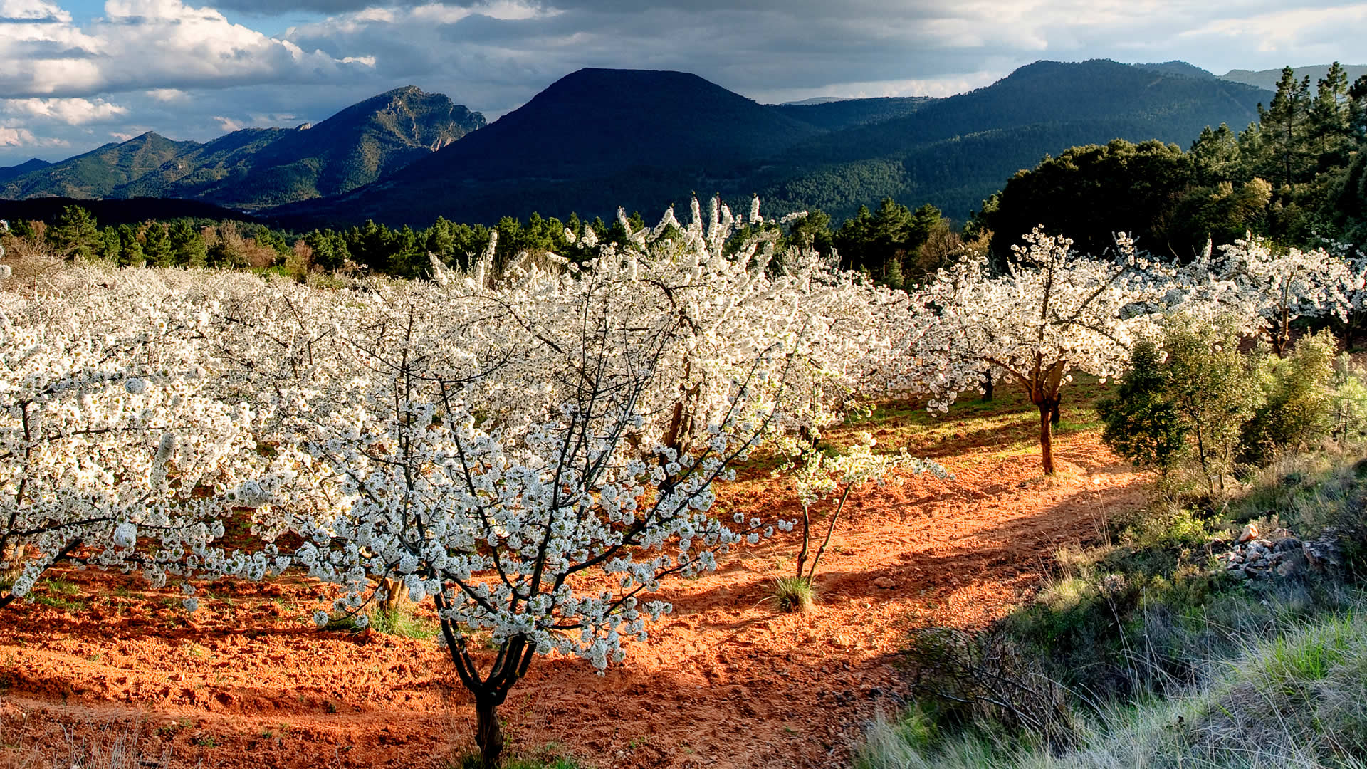 What to do in Spain: 12 ideas for your trip What to do in Spain: 12 ideas for your trip