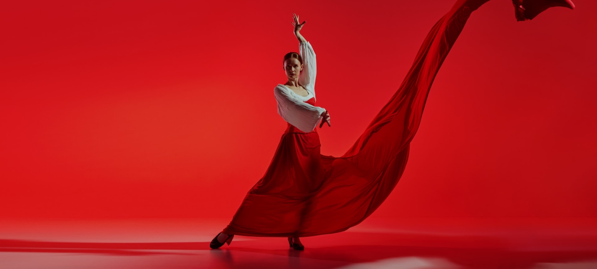 Flamenco dancer Flamenco dancer