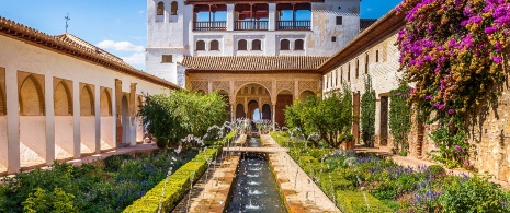 Generalife Gardens in Alhambra, Granada, Andalucía Generalife Gardens in Alhambra, Granada, Andalucía
