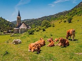 Val D'Aran - Occitania