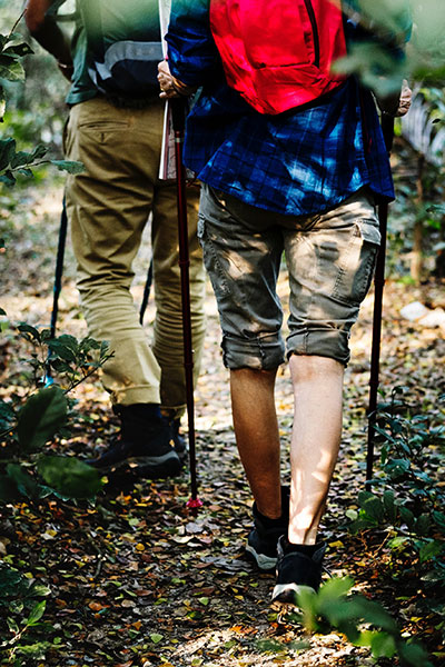 ハイキング ハイキング