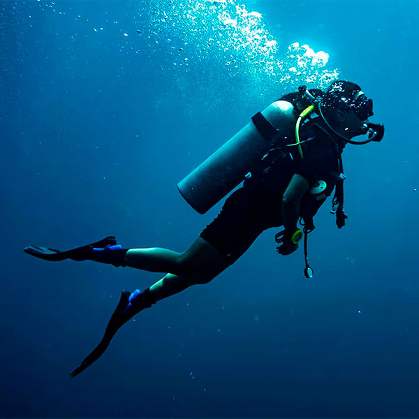 Diver Diver