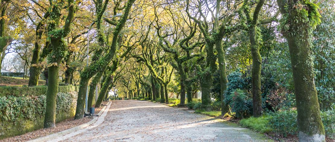 Parque de la Alameda en Santiago de Compostela, Galicia Parque de la Alameda en Santiago de Compostela, Galicia